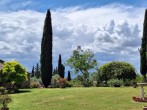 Garden views